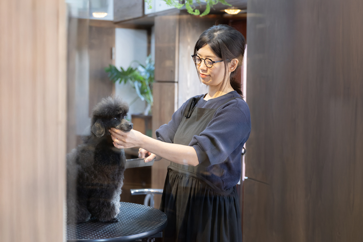 COPAIN Trimming Salon｜コパン トリミングサロン｜神戸市（長田区・須磨区・兵庫区・中央区）