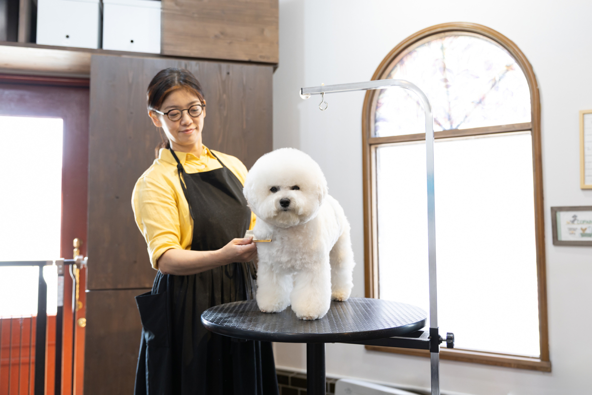 COPAIN Trimming Salon｜コパン トリミングサロン｜神戸市（長田区・須磨区・兵庫区・中央区）